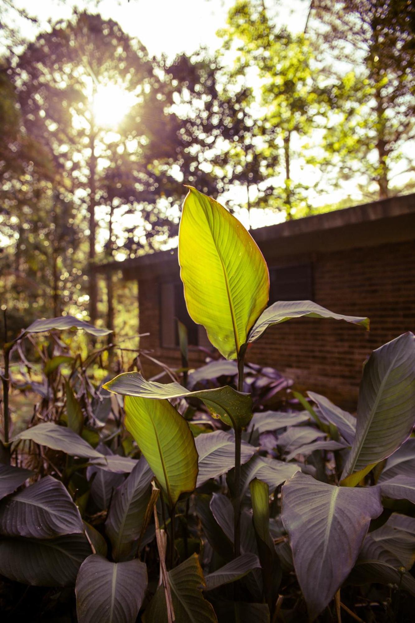 Chalet Viamão Esterno foto
